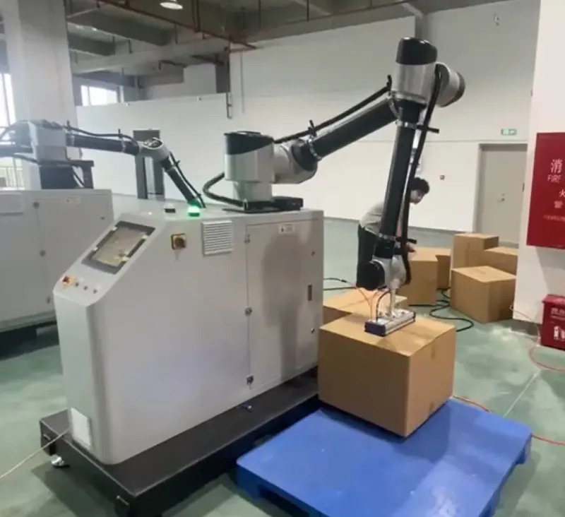 Collaborative Robots Stacking Machine Palletizer Robot for 30kg Carton