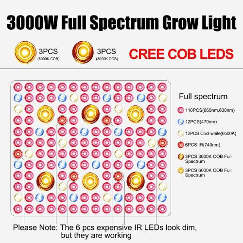 深センCEはPAR 3000W穂軸を育てる