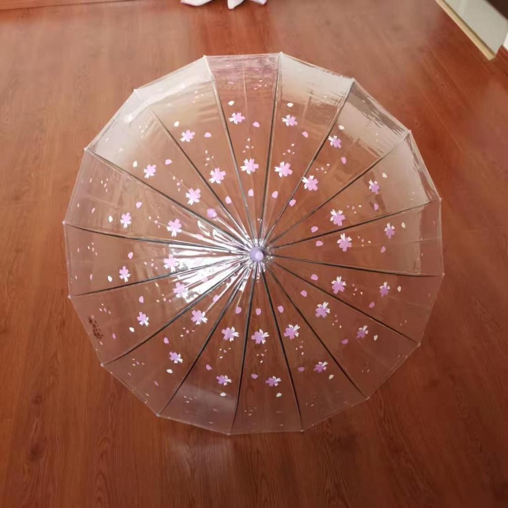 Long Handle Umbrella In Transparent POE Fabric