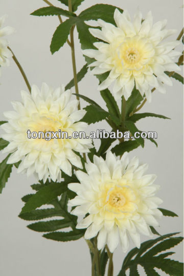 collocation flower mum