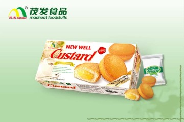 Cusrard cake export edition(original)