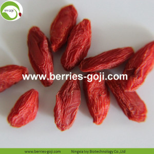 Approvisionnement d&#39;usine Fruits Nutrition Top qualité Goji Berry