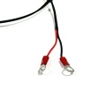 XH2.54 Cavo di alimentazione CC terminale da 3 pin a anello con nucleo in ferrite Modulo di scarico 48 V Lunghezza cablaggio 650 mm