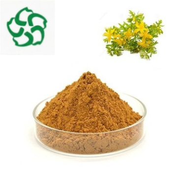 Forsythia Fruit Extract Powder 2%-5% Phillyrin