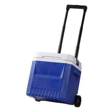 OEM 18L Boîte de refroidisseur de cartons neutres - Isulated Promotional Outdoor Camping Filer