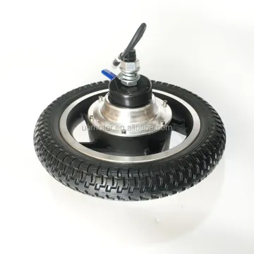 12V 12 Inch Electric Brushless DC Geared Motor for Wheelchair Applications