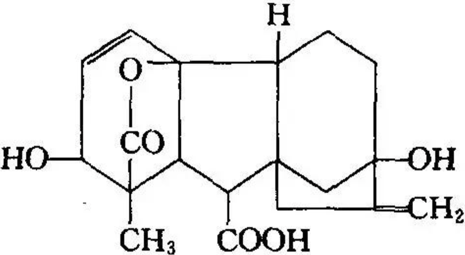 Triacontanol Plant Regulator