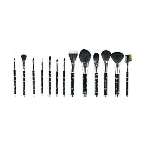 Mango de punta magnética 13 PCS Juego de cepillo de maquillaje