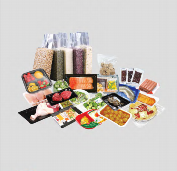 HVC-210T/1D Automatic Vacuum Packaging Machine for Food Industries