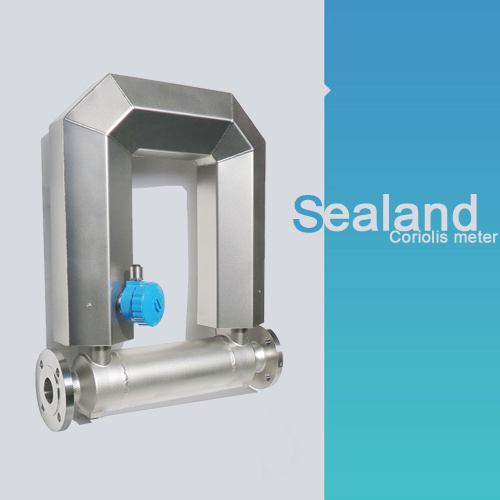 Lebensmittel- und Getränke -Coriolis -Massenströmungsmesser 1000 kg/min