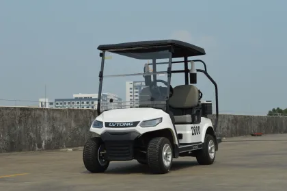 LVTONG 48V 2-Seater Electric Golf Cart
