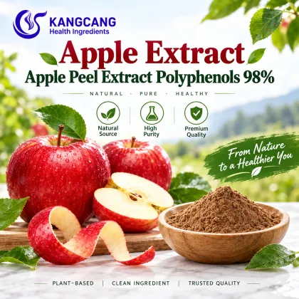 Apple Extract Apple Peel Extract Polyphenols 98%