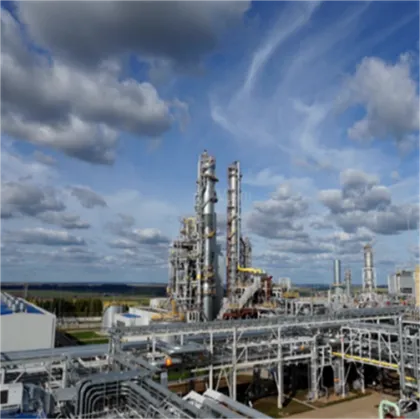 High Quality Saw Palmetto Extract Saw Palmetto P.E.