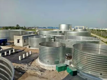 Biogas Exploitation Brewery Waste Water Treatment