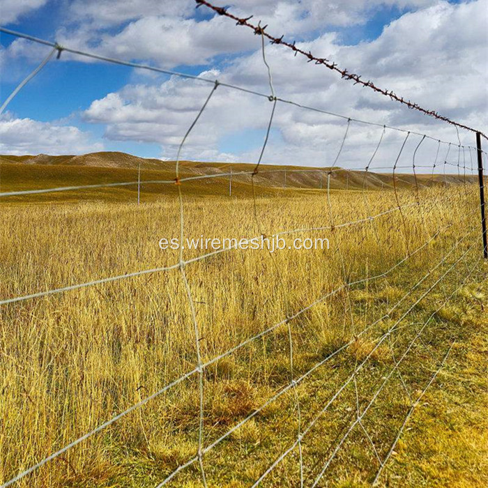 Piscina de campo y granja galvanizada en inmersión en caliente