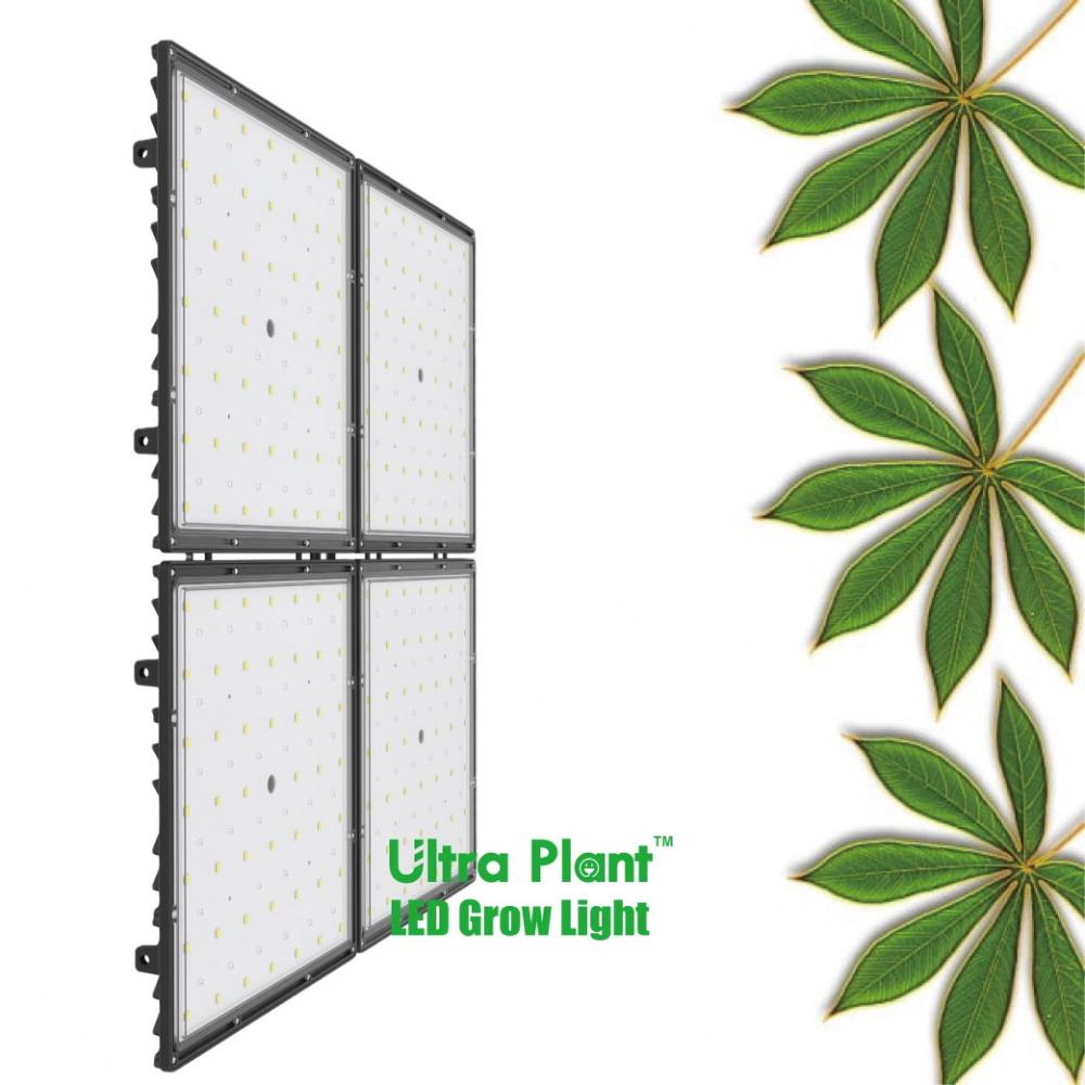 150W Ultra Plant LED تنمو ضوء