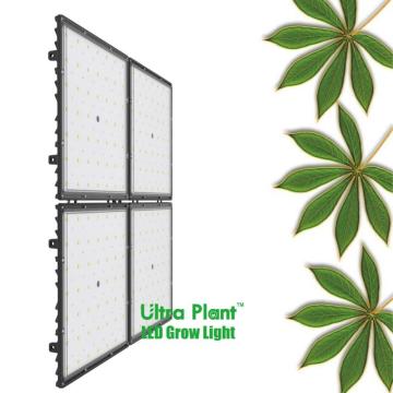 150W Ultra Plant LED-Wachstumslicht