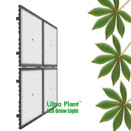 Luz de cultivo LED Ultra Plant de 150W