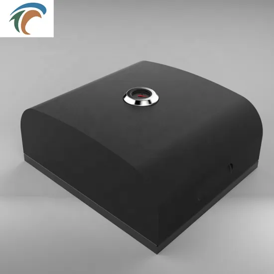 Outdoor Portable Wood-fired Charcoal Pizza Oven Box Baking Mini Pizza Tool