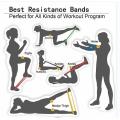 resistance loop band sets