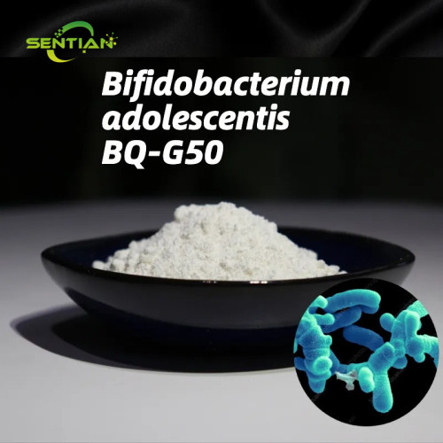 Probiotic Powder 100billion cfu Bifidobacterium Adolescentis