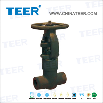 Forged Steel Pressure Seal Globe Valve