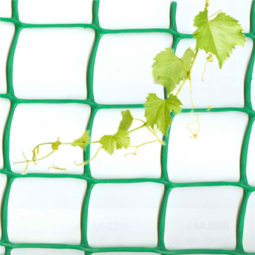 Polyethylene leo cây lưới