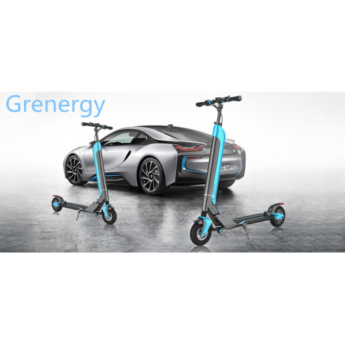  CE and RoSH Standing Roller Skates Board Scooter
