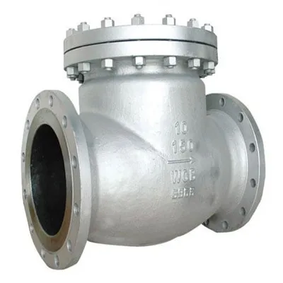 Swing Check Valves