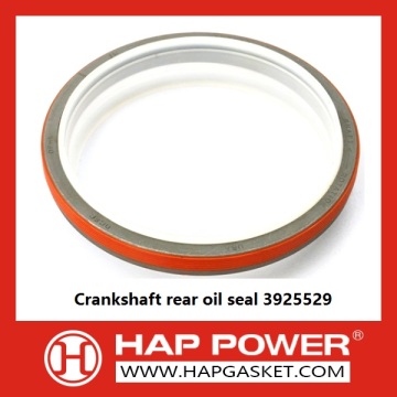 Crankshaft rear oil seal 3925529