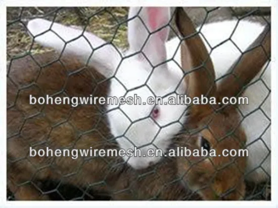 1" Galvanized Chicken Wire Mesh, Hexagonal Wire Mesh,(factory)