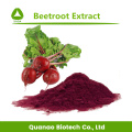 Natürliches pigment rote betewoot saft extrakt rot pulver
