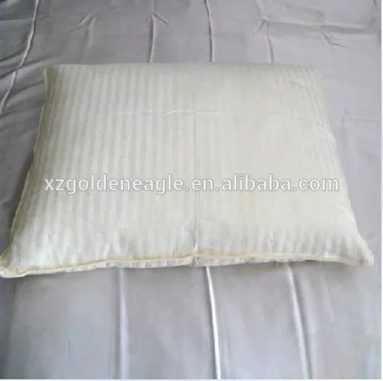 100% Silk Pillows Silk Cushions with Silk Satin Pillow Shams