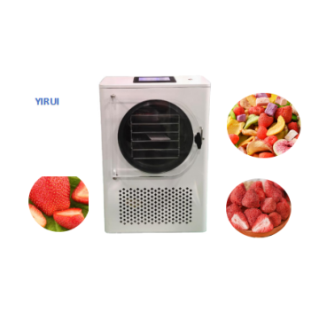 Home Freeze Dryer Machine for Food - Laboratory Vacuum Freeze Dryer Lyophilizer