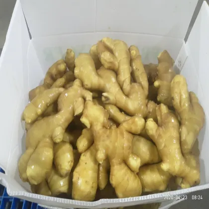 Super Quality Mesh Bag Packing Fresh Ginger