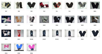 Sports Gloves