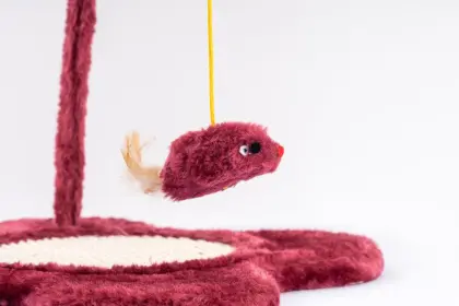 Cat Scratching Board with a Swinging Mouse