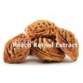 Peach Kernel Extract Free Sample