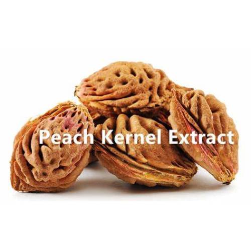 Peach Kernel Extract Free Sample