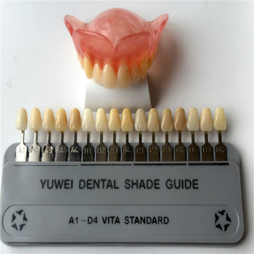 Dos capas Dentaciones de dientes de polímero sintético