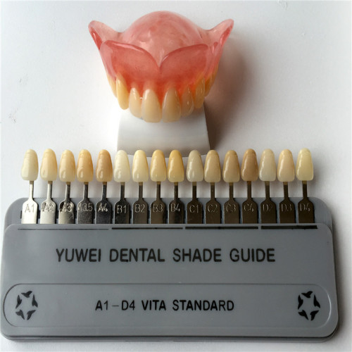 Denture de dents en polymère synthétique de deux couches