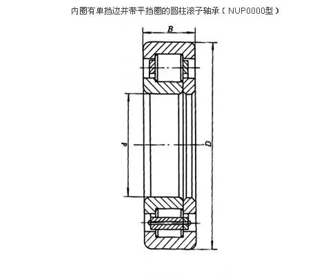 Nsk/fag/skf High Precision Double Rows Cylindrical Roller Bearings Nup309,unp309e,nup309en With Hydra-rib In Good Price