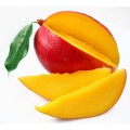 African Mango Seed Powder For Lose Weight