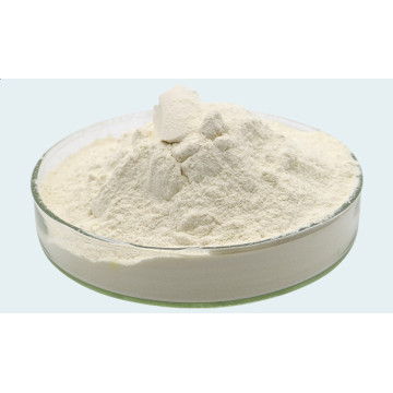 Chondroitin Sulfate Powder 50% CAS No 24967-93-9