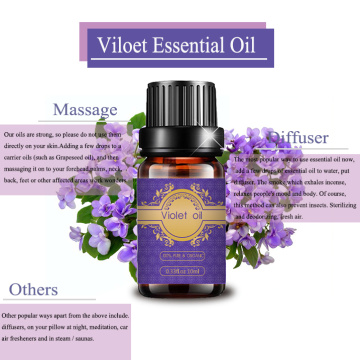 Factory supply 100%pure Violet essential oil for skin