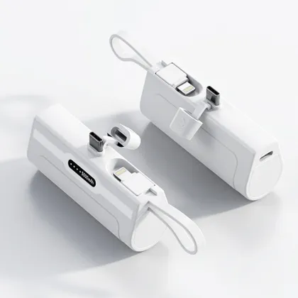 2-in-1 Fast Charging Power Bank for iPhone, Samsung, and Huawei