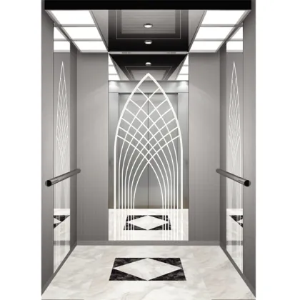 Foshan Leo Office Passenger Lift Elevator