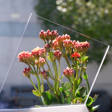 Clear Colored Polycarbonate Sheets for Greenhouses
