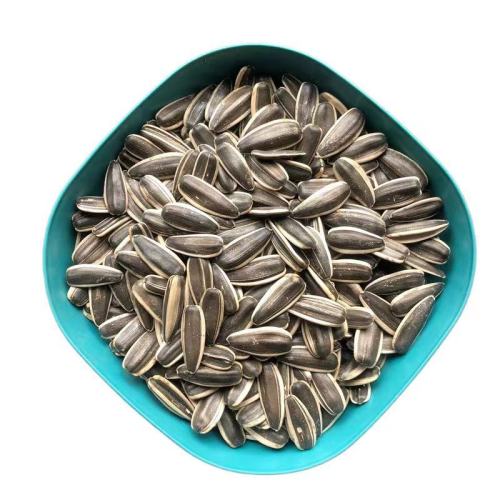 Good Size Top Sunflower Seeds For World Market