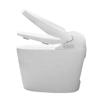 Korean Hot Sell Multifunction Automatic Smart Toilet for Bathroom